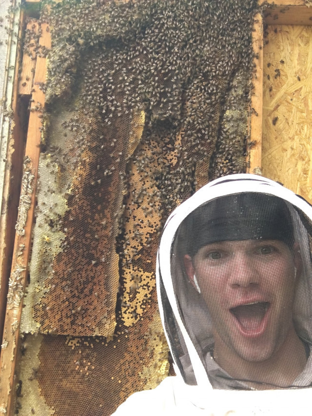 bee-removal-suit-DTqL3UgJjE.jpeg