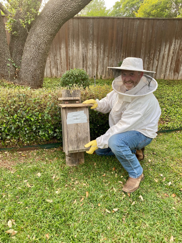 tommy-bee-removal-pYdB7Exrct.jpeg